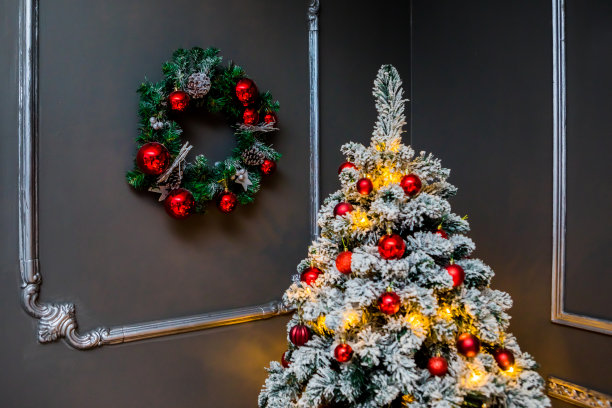 圣诞节和新年照相馆，圣诞树，花环，灰墙，舞会(18)。图片下载