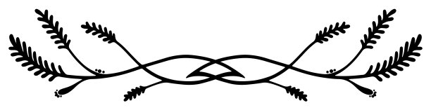 手绘的单色常春藤图案单项目矢量材料图片下载