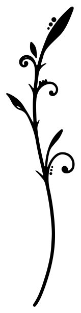 手绘的单色常春藤图案单项目矢量材料图片下载