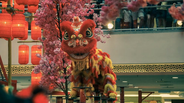 在中国新年庆祝活动中舞狮素材图片