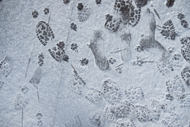 雪地上的脚印图片下载