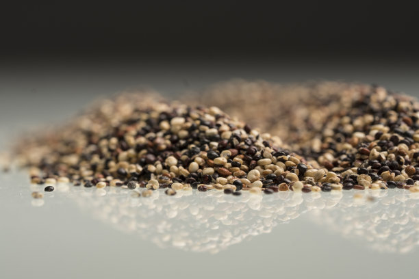 三色藜麦摄影会议在秘鲁收获。图片下载