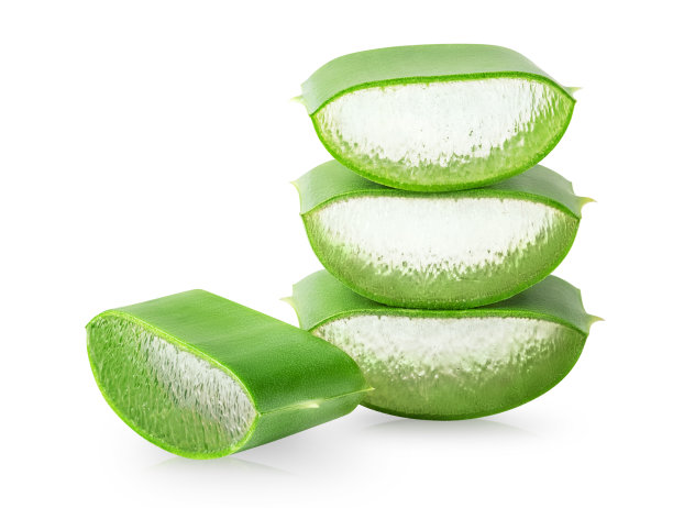 薄片芦荟植物孤立在白色背景。图片下载