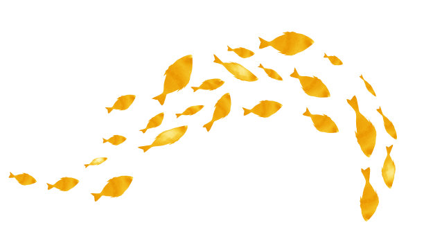 白色的鱼群的剪影。水彩图片下载