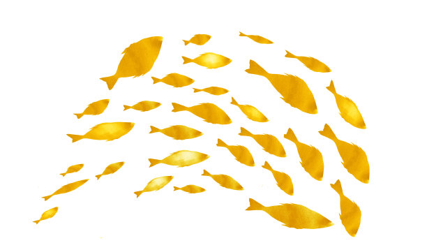 白色的鱼群的剪影。水彩图片下载