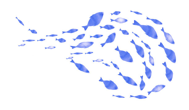 白色的鱼群的剪影。水彩图片下载