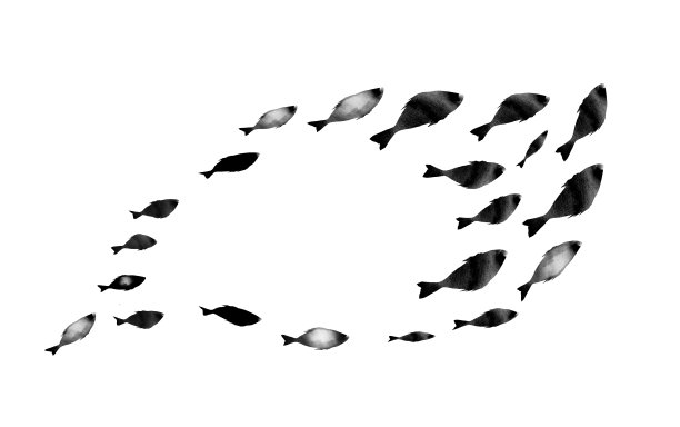 白色的鱼群的剪影。水彩。黑色和白色图片下载