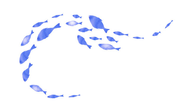 白色的鱼群的剪影。水彩图片下载