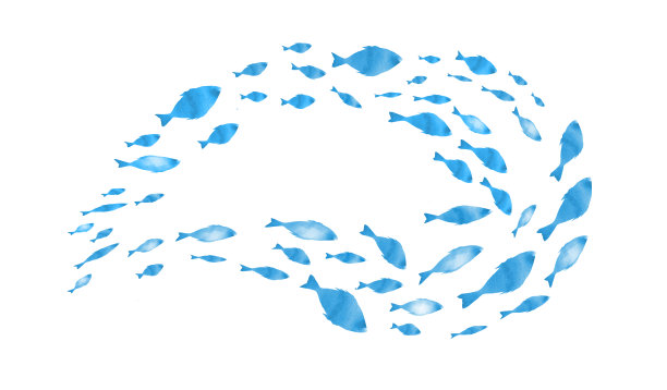 白色的鱼群的剪影。水彩图片下载