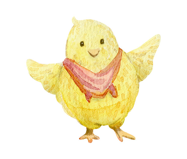 有趣的小小鸡水彩插图图片下载