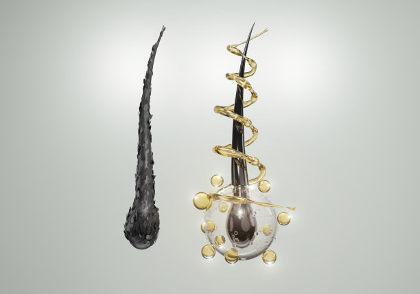 洗发水或精华液可滋养头发。图片下载