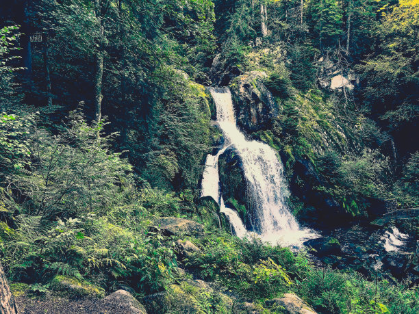 德国黑森林的瀑布。图片下载