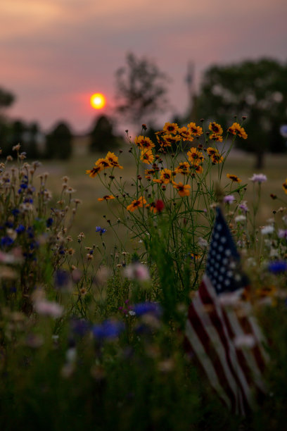 夕阳下的花园图片下载