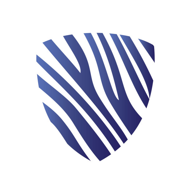 丰富多彩的盾向量。盾图标图片，矢量平面，盾应用程序和Web符号。图片下载