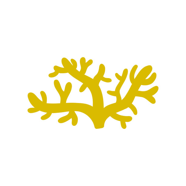 黄色的珊瑚图片下载