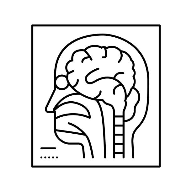 磁共振成像放射学线图标矢量插图图片下载