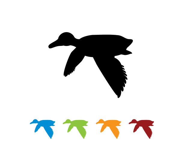 会飞的鸭子轮廓图片下载