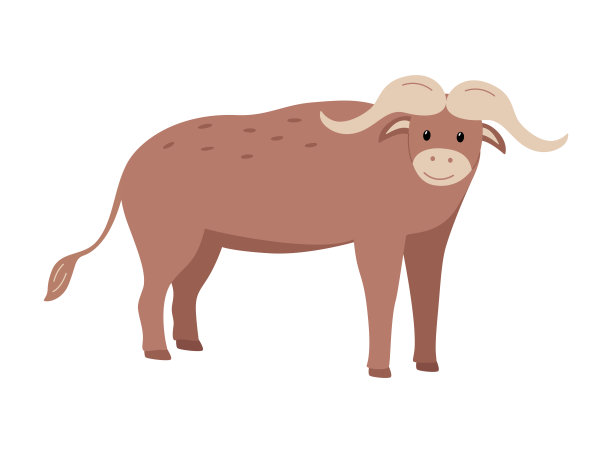 非洲水牛可爱的卡通矢量插图孤立在白色。图片下载