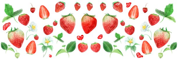水彩框卡插图新鲜的草莓，白色的花和植物图片下载