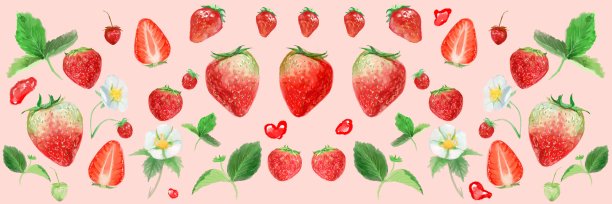 水彩框卡插图新鲜的草莓，白色的花和植物图片下载