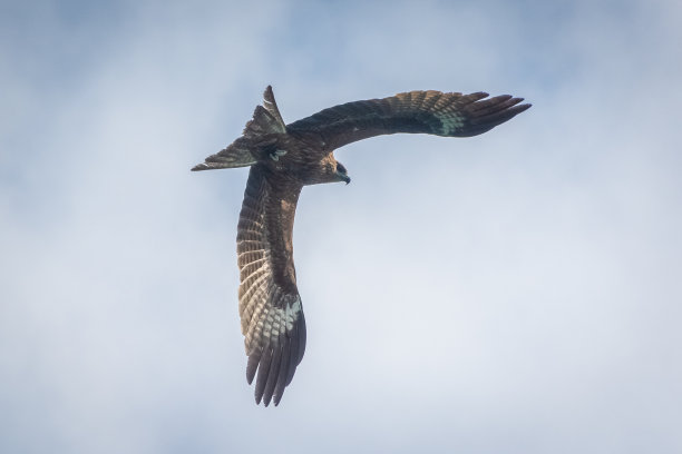 越南下龙湾的风景图片下载