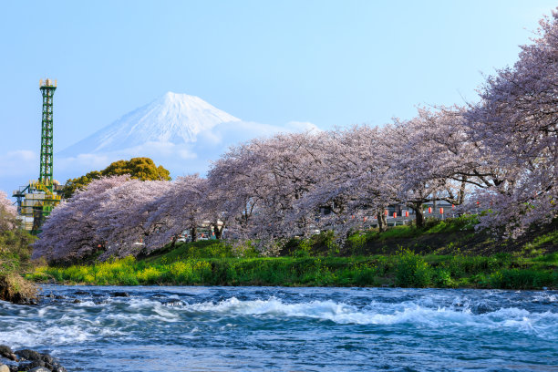 日本静冈县龙根渊池图片下载