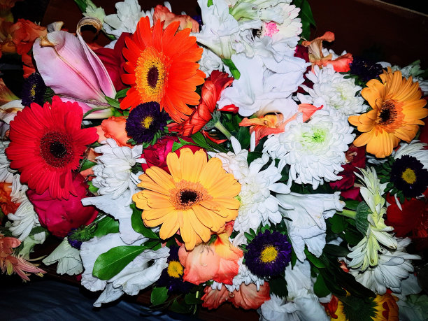 美丽的花朵图片下载