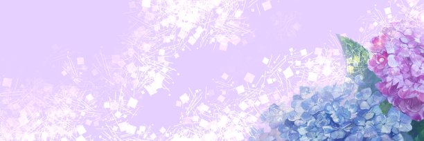 宽插图浅蓝色和紫色绣球花在蓝色的天空由水彩画图片下载