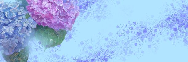 宽插图浅蓝色和紫色绣球花在蓝色的天空由水彩画图片下载