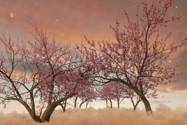 3d渲染的日本樱桃树小巷上蓬松的云图片下载