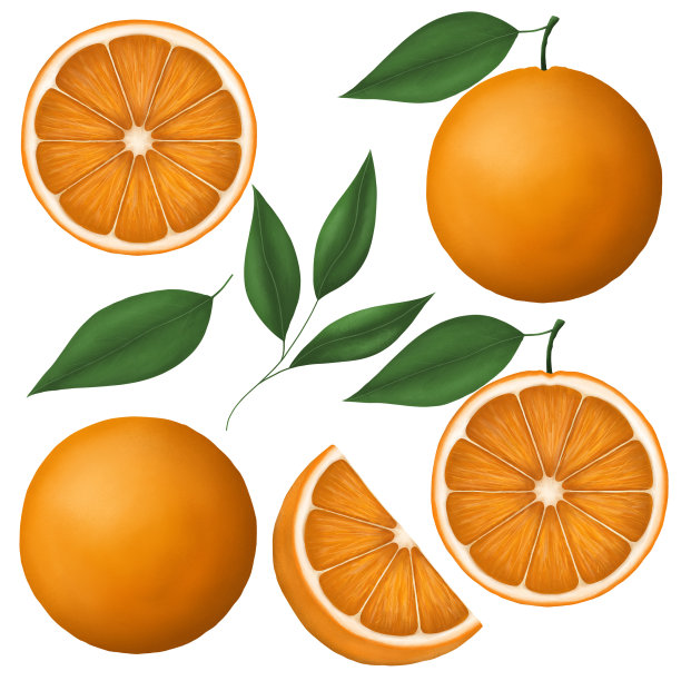 橙子，整个水果和一半的叶子。热带水果。手绘插图孤立在白色背景上图片下载
