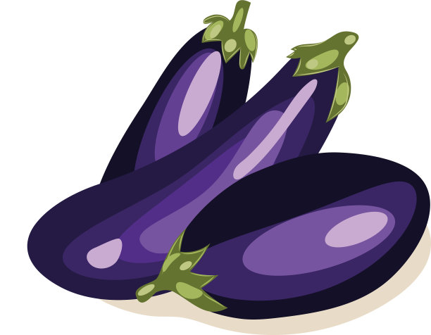 茄子的矢量图像。紫色的茄子。三个茄子。成分。图片下载