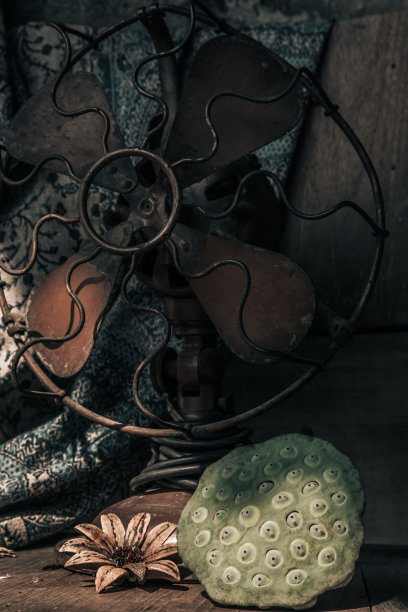 新鲜的绿色莲子荚与复古的棕色金属风扇。图片下载