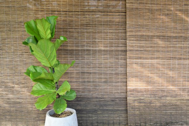 编织木室内设计，纹理背景图片下载