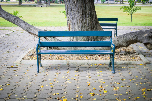 台农村放松图片下载