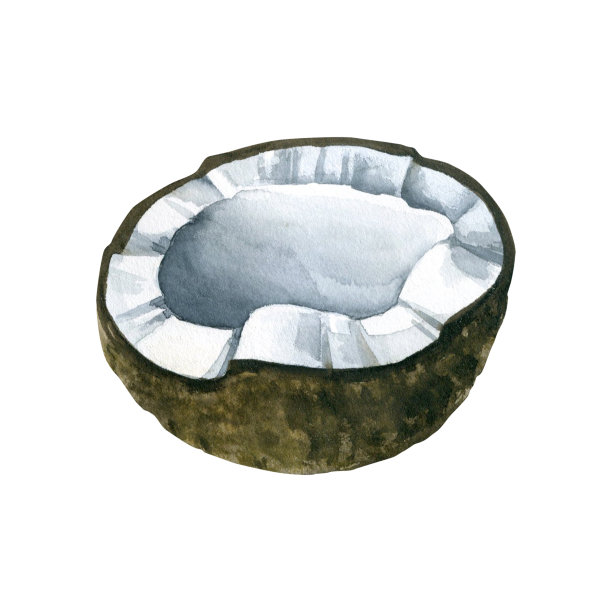 手绘水果孤立椰子水彩插图图片下载