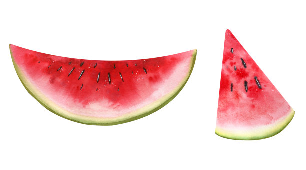 手绘水果孤立西瓜的水彩插图图片下载