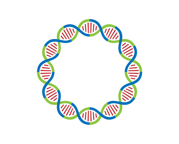 DNA链12环图片下载