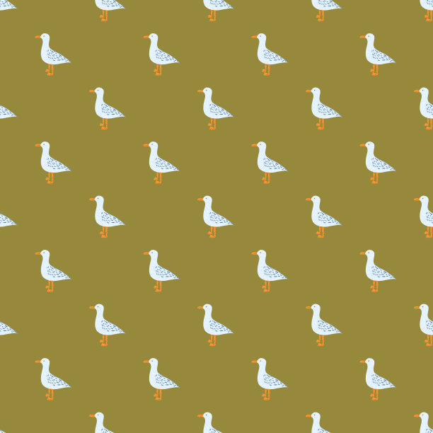 海鸥无缝地站在那里。海鸟的背景。图片下载