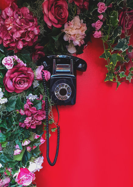 古色古香的黑色电话和美丽的插花图片下载