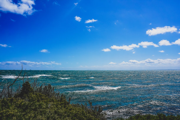 从灌木丛中俯瞰大海和海滩。图片下载