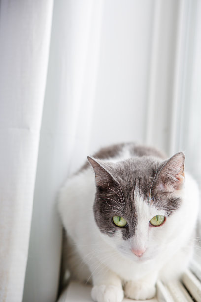 早上例行图片下载