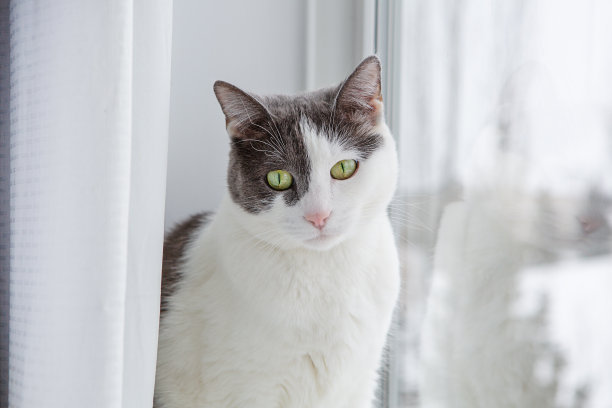 早上看图片下载