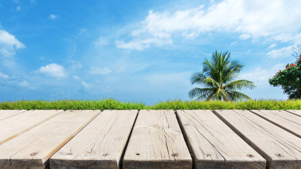 空旷的木制平台和热带花园与清晰的天空背景图片下载