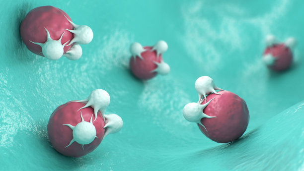 t细胞攻击癌细胞素材图片