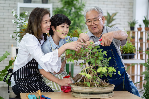 幸福的家庭一起在花园里园艺，爷爷孙子和女人照顾自然图片下载