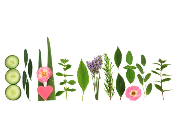 天然草药和花的皮肤护理治疗图片下载