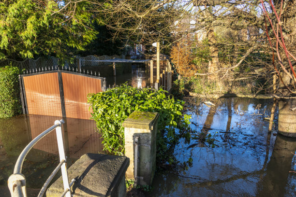 英国伍斯特郡比德利的塞文河水位很高，暴雨过后，比德利的房屋被淹没。图片下载