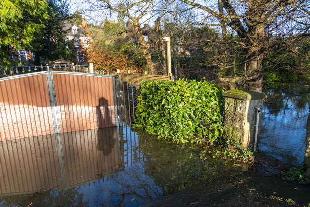 英国伍斯特郡比德利的塞文河水位很高，暴雨过后，比德利的房屋被淹没。图片下载