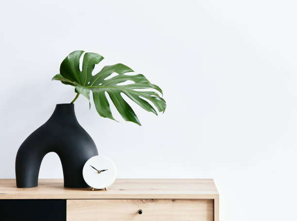 简约概念的客厅室内在优雅的公寓与木制马桶，叶在陶瓷花瓶和优雅的个人配件在现代家居装饰。副本的空间。模板。“t图片下载